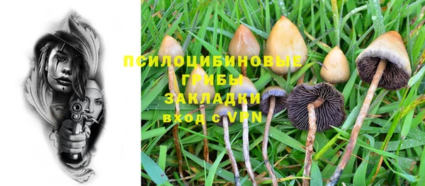 мдма Богородск