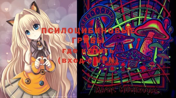МДМА Богданович